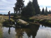 Top Zlatá Olešnice