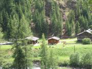 Ferienhaus Grünmoos