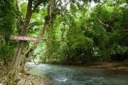 Top Khao Sok
