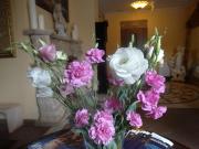 Top Poznań Top Poznań