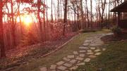 Top Dahlonega