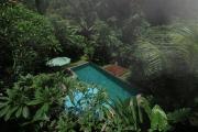 Top Ubud