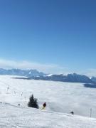 Top Arriach