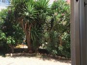 Top Paphos City