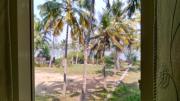 Top Cherai Beach