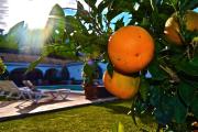 Top Estepona