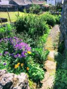 Top Chapel en le Frith