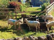 Top Chapel en le Frith