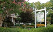 Top Eureka Springs