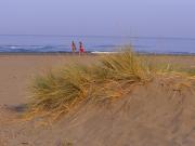 Top Castagneto Carducci