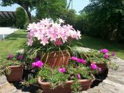 Top Ponte San Nicolo