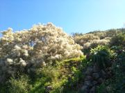 Top Vega de San Mateo