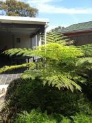 Top Durban