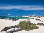 Top Cotillo Top Cotillo