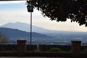 Top Cervino