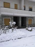 Top Tirano