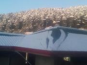 Top Dharamshala