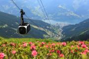 Top Zell am See