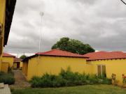 Top Jane Furse