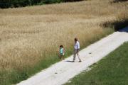 Top Urbino