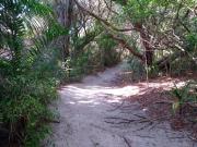 Itacimirim - Quinta das Lagoas Residence