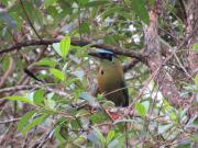 Top Salento Top Salento