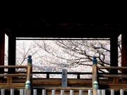 Top Otsu Top Otsu