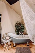 Top Oudtshoorn
