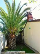 Top Pula