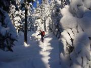Top Schneizlreuth