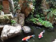 Ryokan Sawaya Honten Ryokan Sawaya Honten