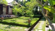 Top Ubud