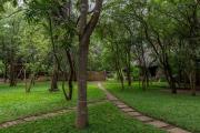 Top Livingstone