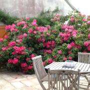 Top Azay-le-Ferron
