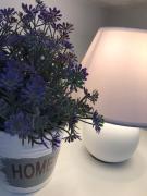 Top Świnoujście Top Świnoujście