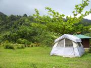Hass Tent 4 Rent Hass Tent 4 Rent