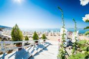 Top Sunny Beach