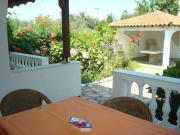 Top Sarti