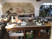 Top Coreglia Antelminelli