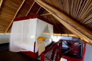 Top Bocas del Toro
