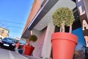 Top Tirana