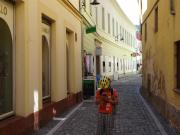 Top Sušice Top Sušice