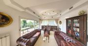 Top Vrdnik