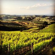 Top Chianciano Terme