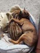 Agriturismo Ticci Agriturismo Ticci