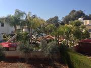 Top Paralimni