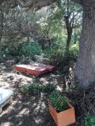 Top Santa Teresa Gallura