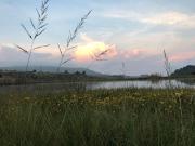 Top Dullstroom