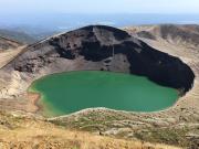 Lodge Christmas Rose Zao