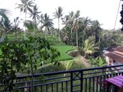 Top Ubud